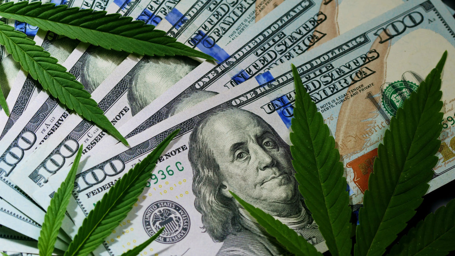 Achieving Resolution: Alabama Cannabis Regulators Reach Deal to End Suits Siesta G Dispensary