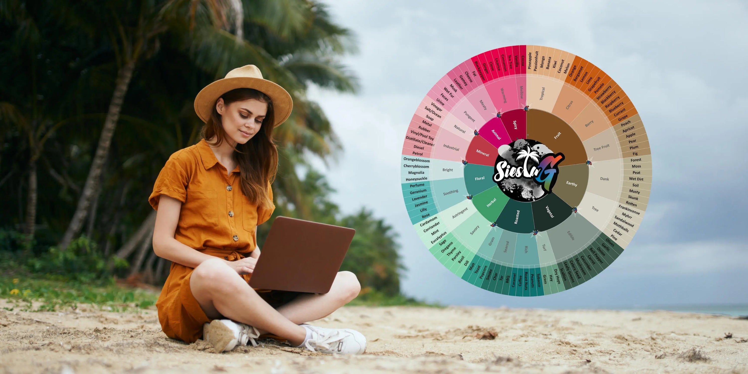 Become-a-Terpene-Expert-The-Ultimate-Chart-Wheel-Guide Siesta G Dispensary