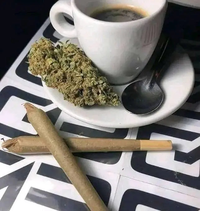 Why Switch to Hemp from Smoking Tobacco? Siesta-G