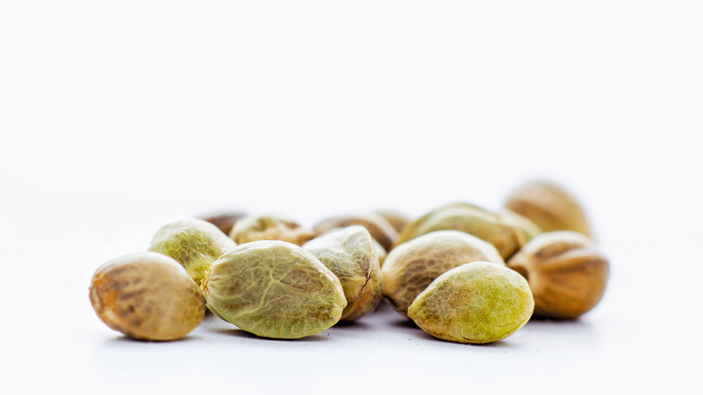 Delta 8 is a cannabis compound that's similar in structure to Delta 9 THC, the main psychoactive compound in hemp plants. Delta 8 is an isomer of Delta 9, which means it has the same number of atoms arranged differently. This is a picture of hemp seeds.