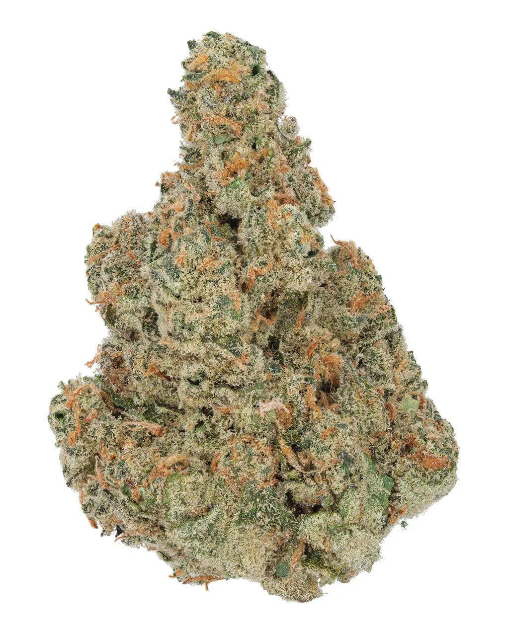 Premium Flower 9LB Hammer Hybrid/Indica Alternative Health Distributioin Siesta G Dispensary