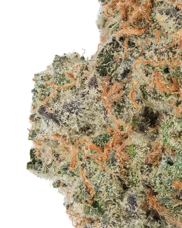 Premium Flower Açai Gelato Siesta G Siesta G Dispensary