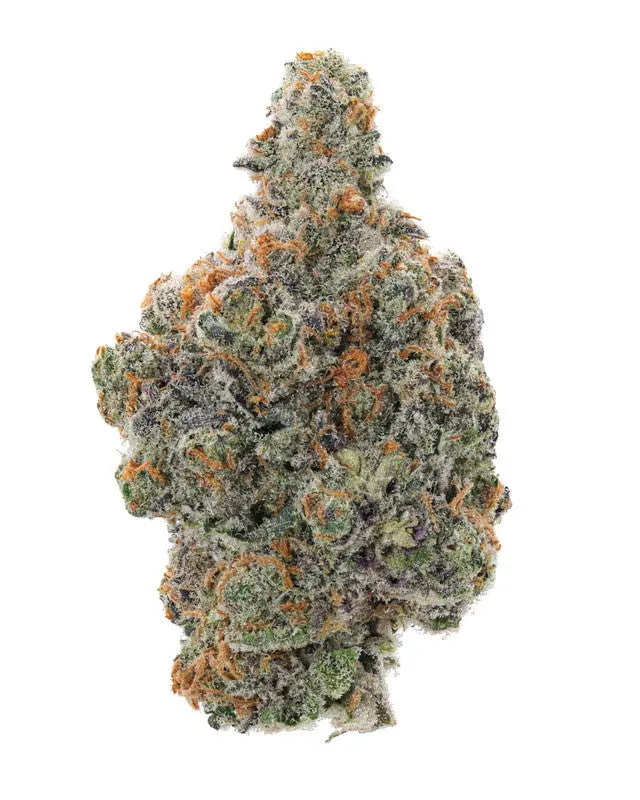 Premium Flower Apple Fritter Hybrid Exotic Siesta G  Siesta G Dispensary