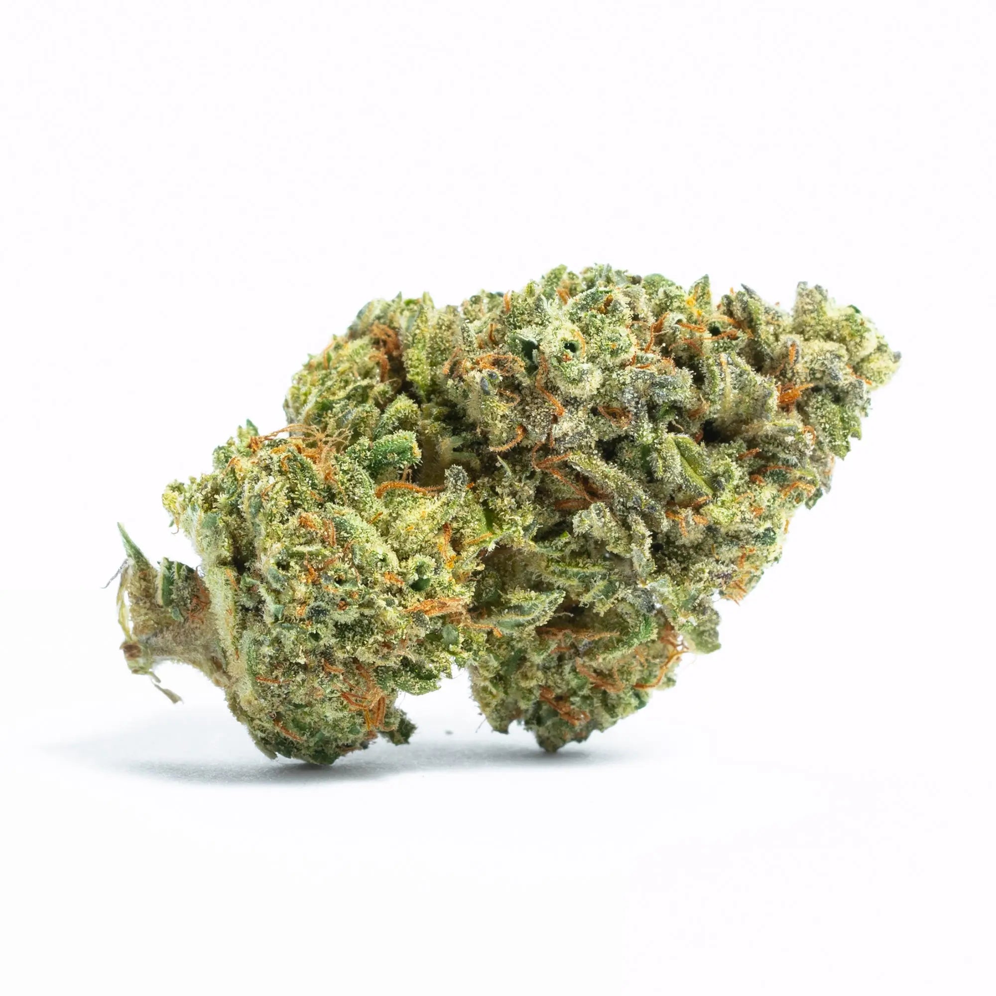 Premium Flower Blue Cheese Indica Siesta G Siesta G Dispensary