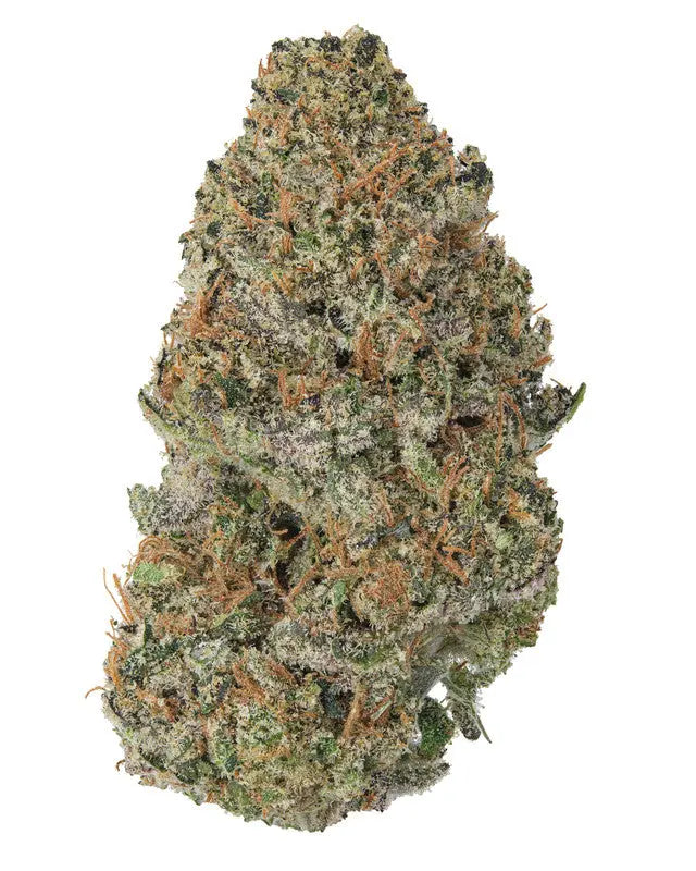 Premium Flower Blue Dream Sativa Siesta G Siesta G Dispensary