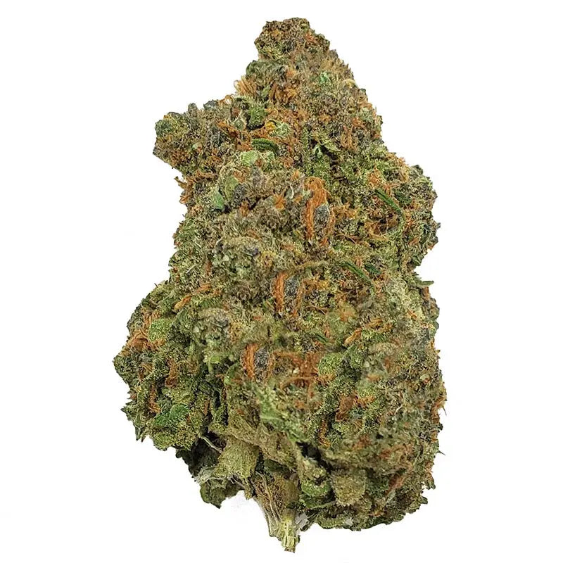 Premium Flower Blue Razz Hybrid Siesta G Siesta G Dispensary