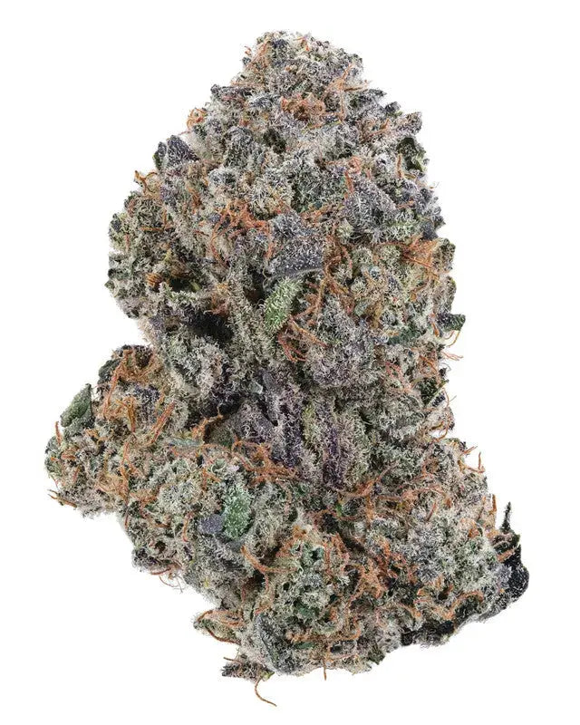 Premium Flower Blueberry Muffin Hybrid Pre-roll Siesta G Dispensary Siesta G Dispensary