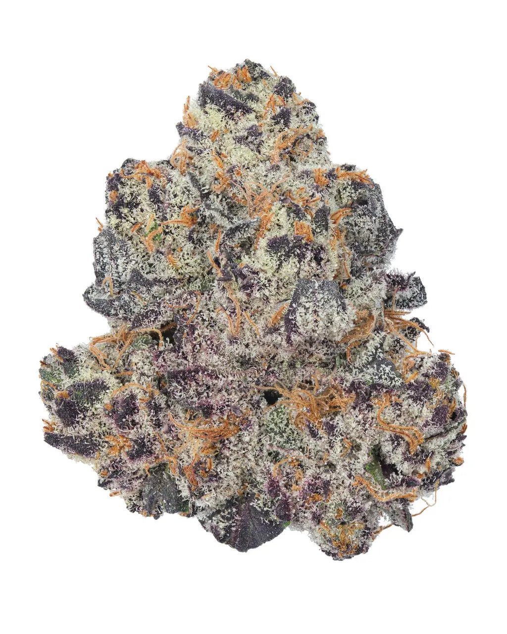 Premium Flower Blueberry Muffin Hybrid Siesta G Siesta G Dispensary