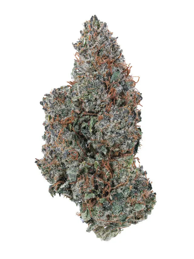 Hemp Pre Rolls Bubba Kush THC Pre-Roll Siesta G Dispensary Siesta-G