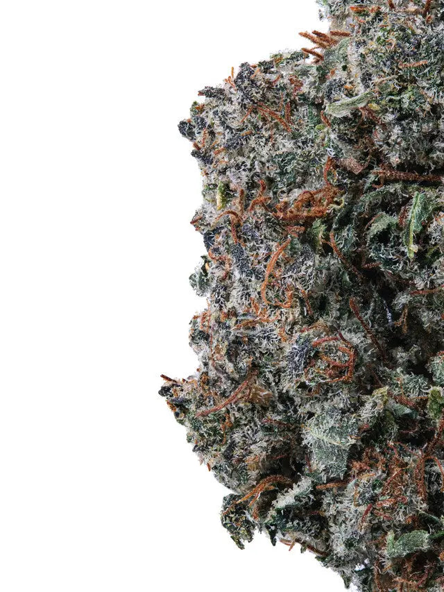 Hemp Pre Rolls Bubba Kush THC Pre-Roll Siesta G Dispensary Siesta G Dispensary