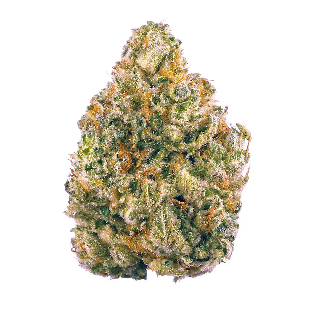 Premium Flower Chemdawg Hybrid Alternative Health Distributioin Siesta G Dispensary