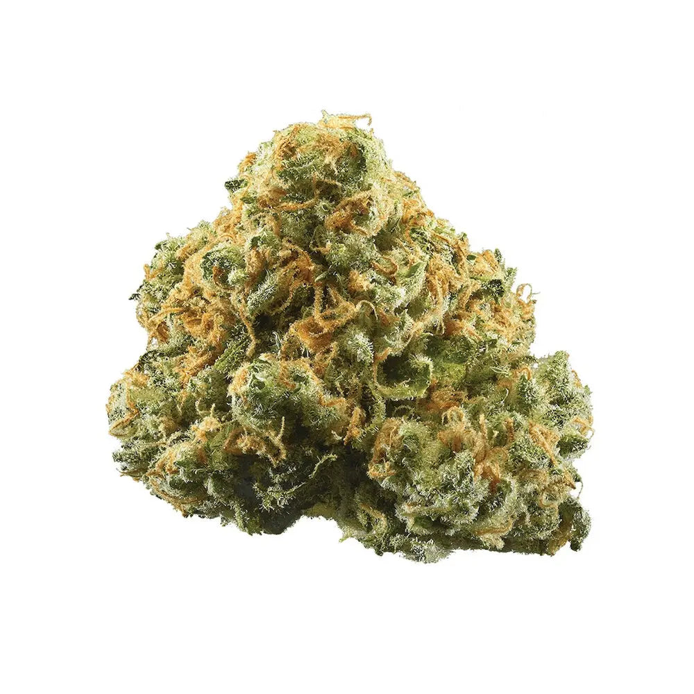 Premium Flower Cherry Cola Flow State Siesta G Dispensary