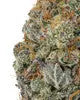 Premium Flower Cookies N&
