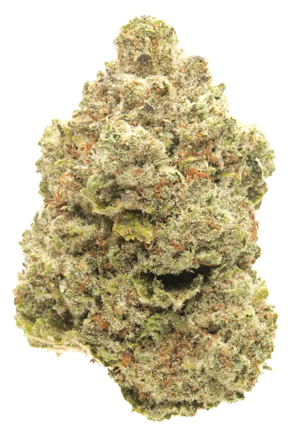 Premium Flower Death Star Indica Siesta G Siesta G Dispensary