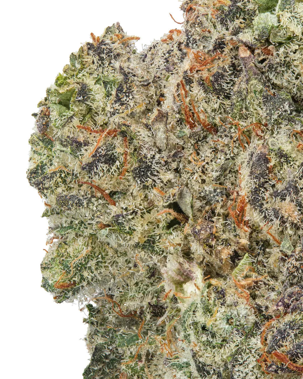 Premium Flower Do-si-dos Indica Alternative Health Distributioin Siesta G Dispensary