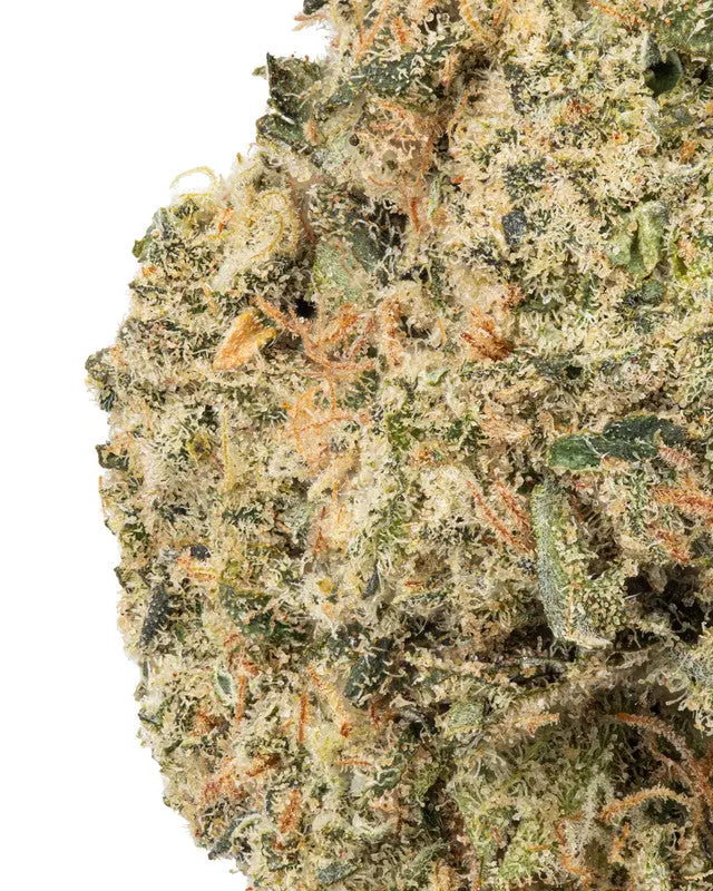 Premium Flower Doggy Style Indica Siesta G Siesta G Dispensary