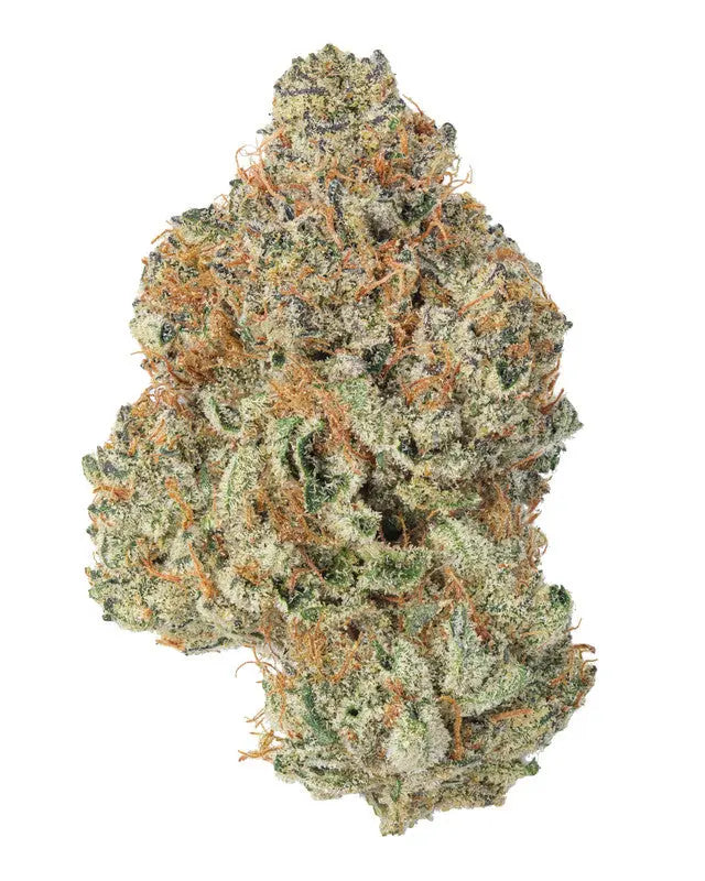 Premium Flower Don Mega Hybrid Exotic Siesta G Siesta G Dispensary