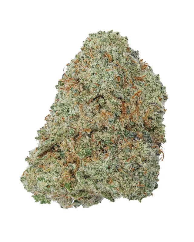 Donny Burger Exotic Indica Siesta G Siesta G Dispensary