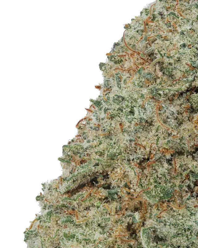 Donny Burger Exotic Indica Siesta G Siesta G Dispensary