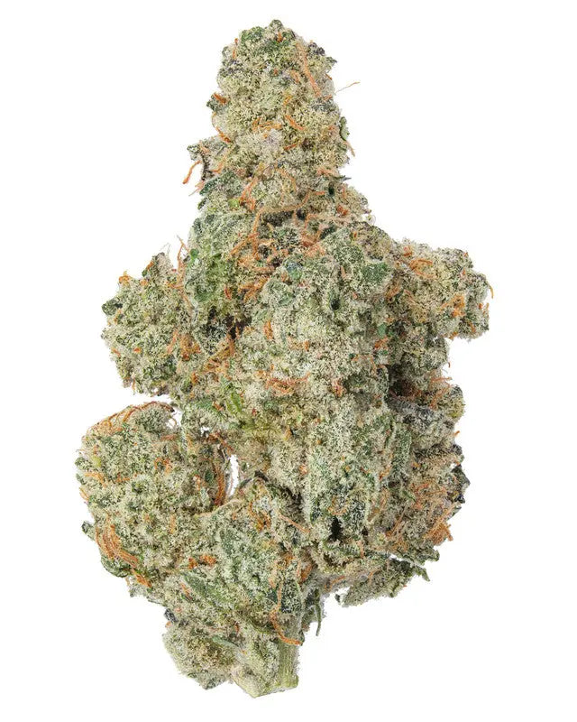 French Cookies Sativa Siesta G Siesta G Dispensary