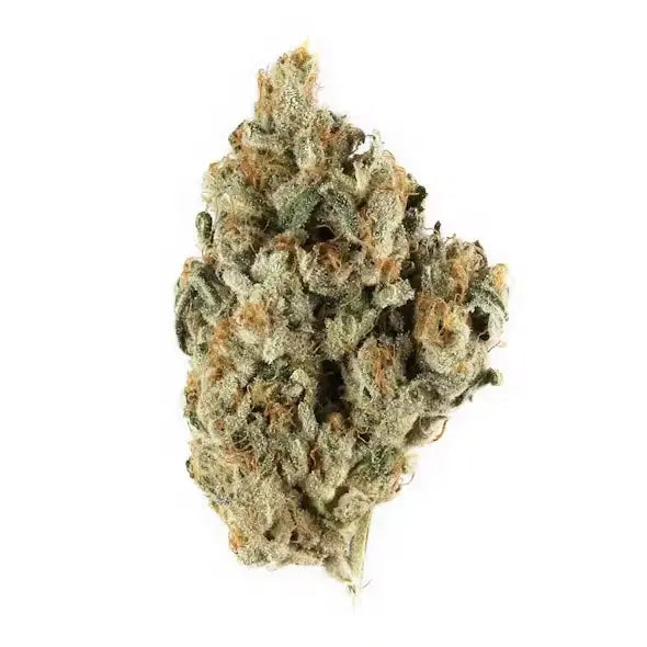 Premium Flower Frosted Donut Hybrid Budzburn Siesta G Dispensary