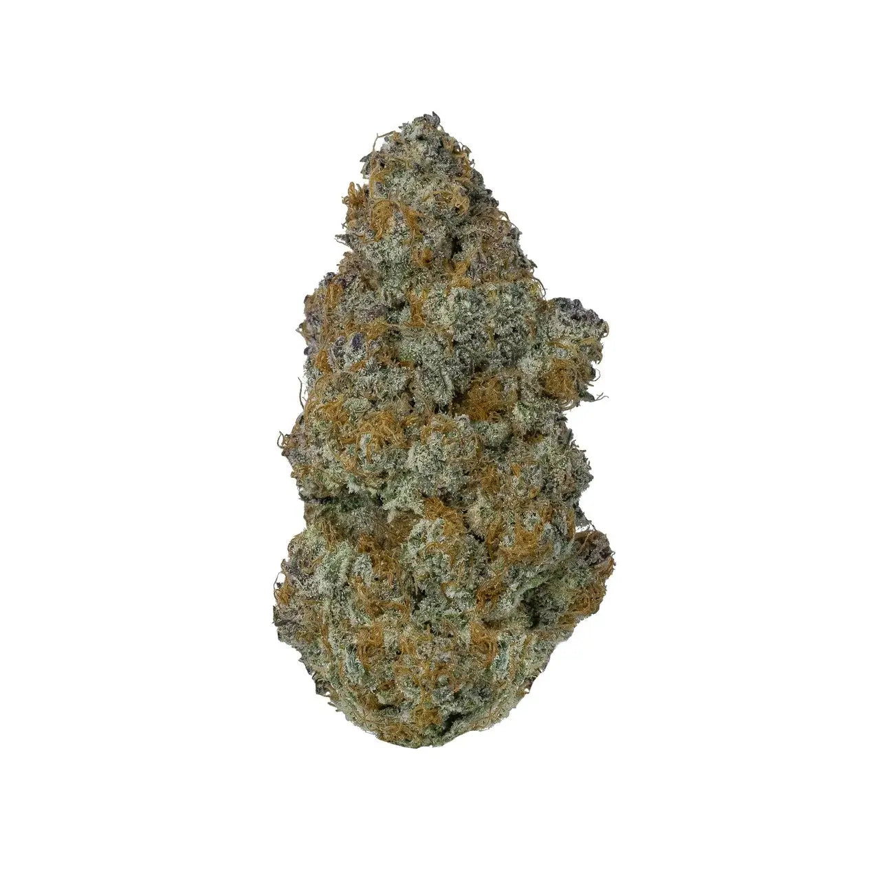Premium Flower GMO Cookies Indica Siesta G Siesta G Dispensary