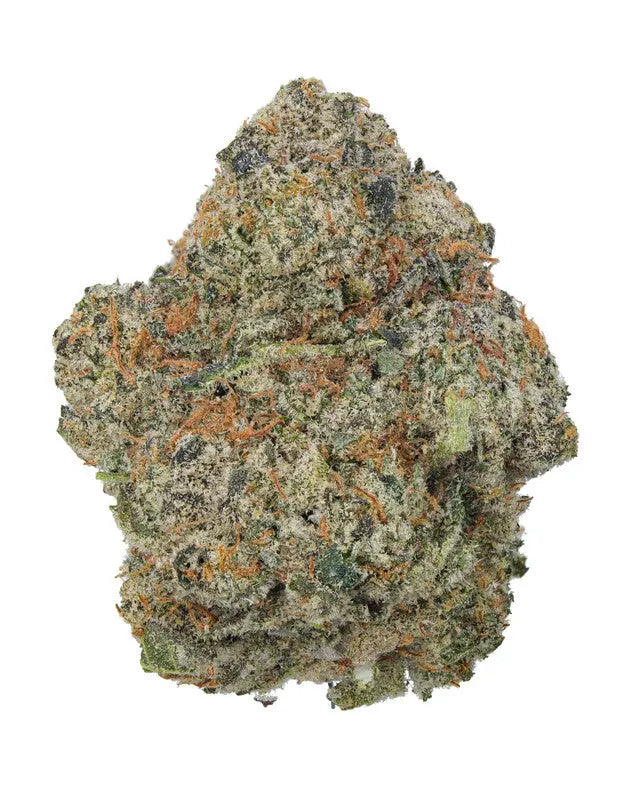 Premium Flower GMO"G" Indica KCMMM LLC Siesta G Dispensary