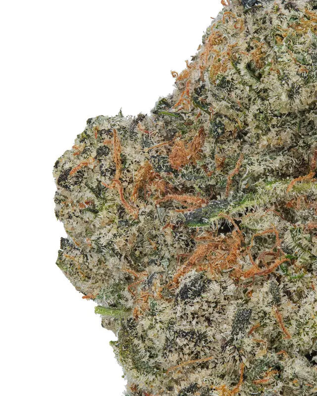 Premium Flower GMO"G" Indica KCMMM LLC Siesta G Dispensary