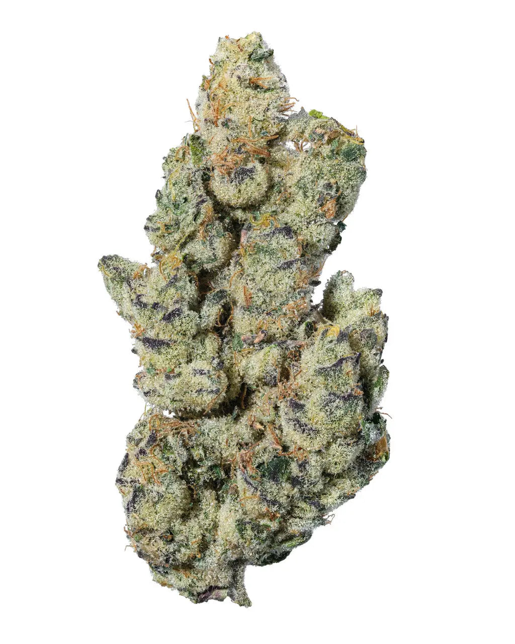 Premium Flower Garlic Cocktail Siesta G Siesta G Dispensary