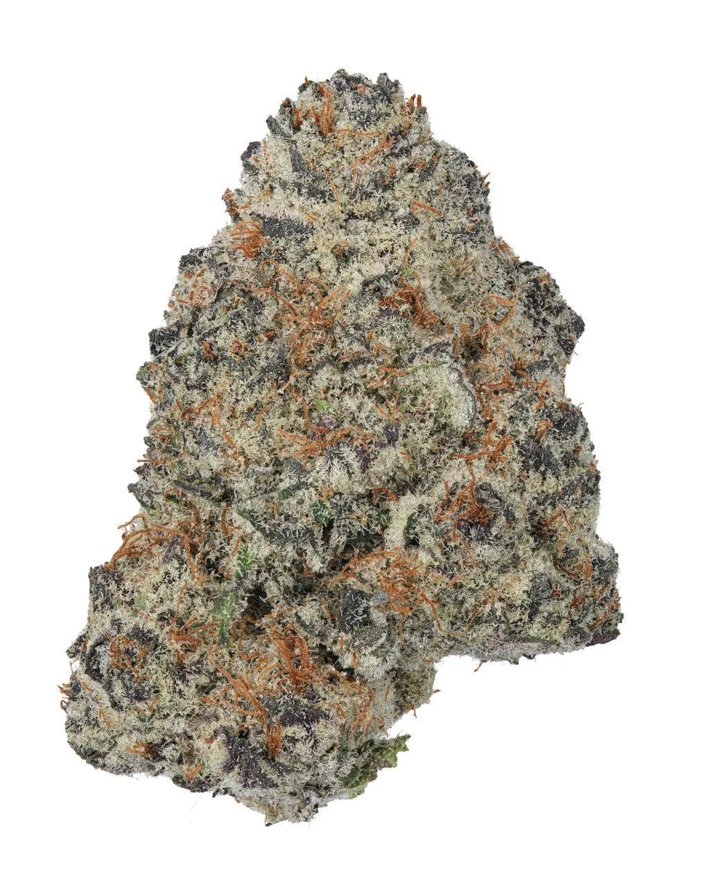 Premium Flower Gary Payton - Hybrid KCMMM LLC Siesta G Dispensary