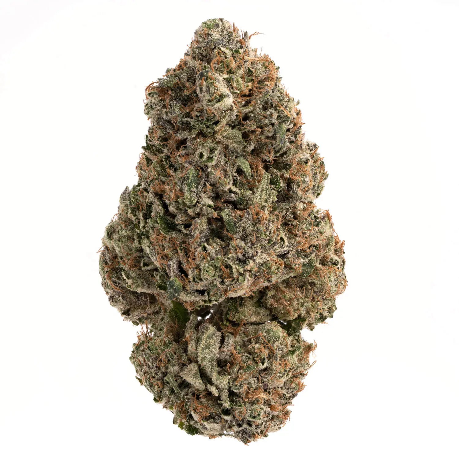Premium Flower Gas Face OG Indica Alternative Health Distributioin Siesta G Dispensary