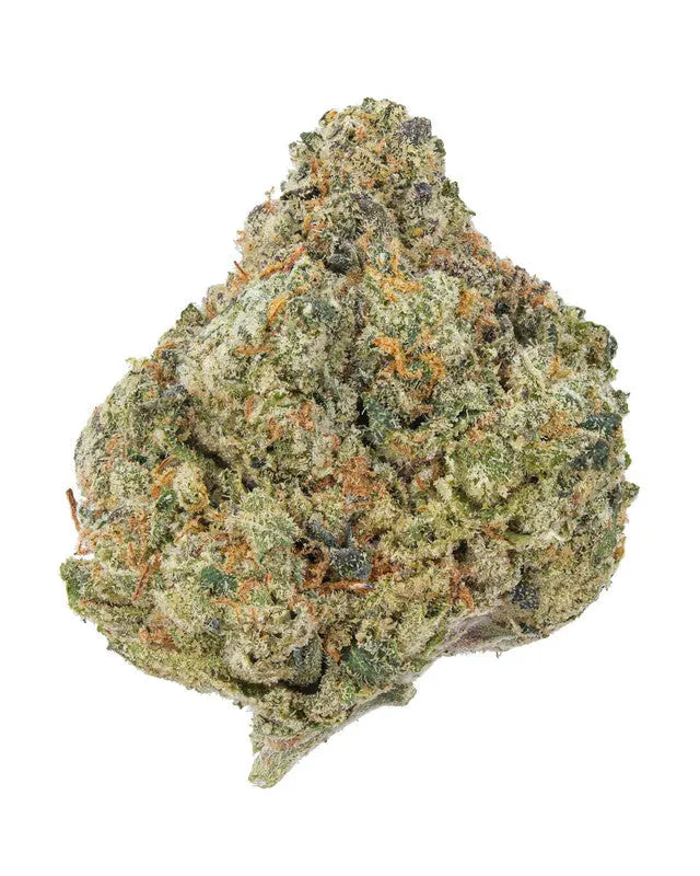 Premium Flower Gelato