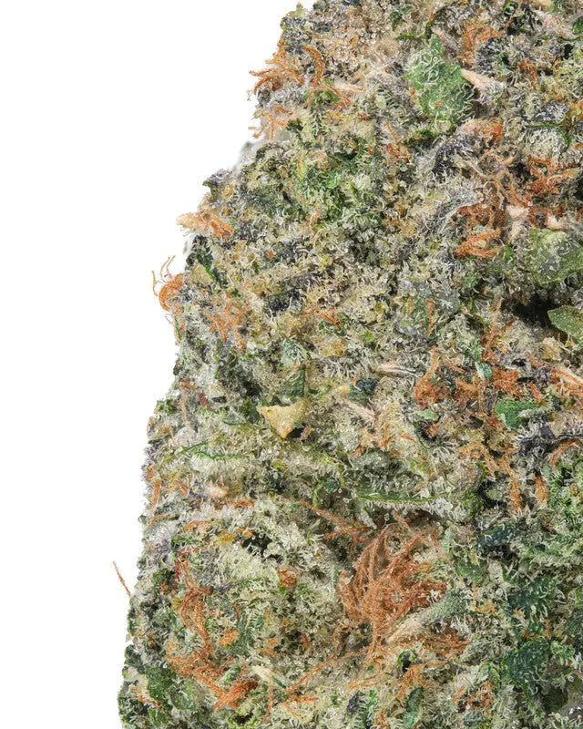 Gelonade Sativa Siesta G Siesta G Dispensary