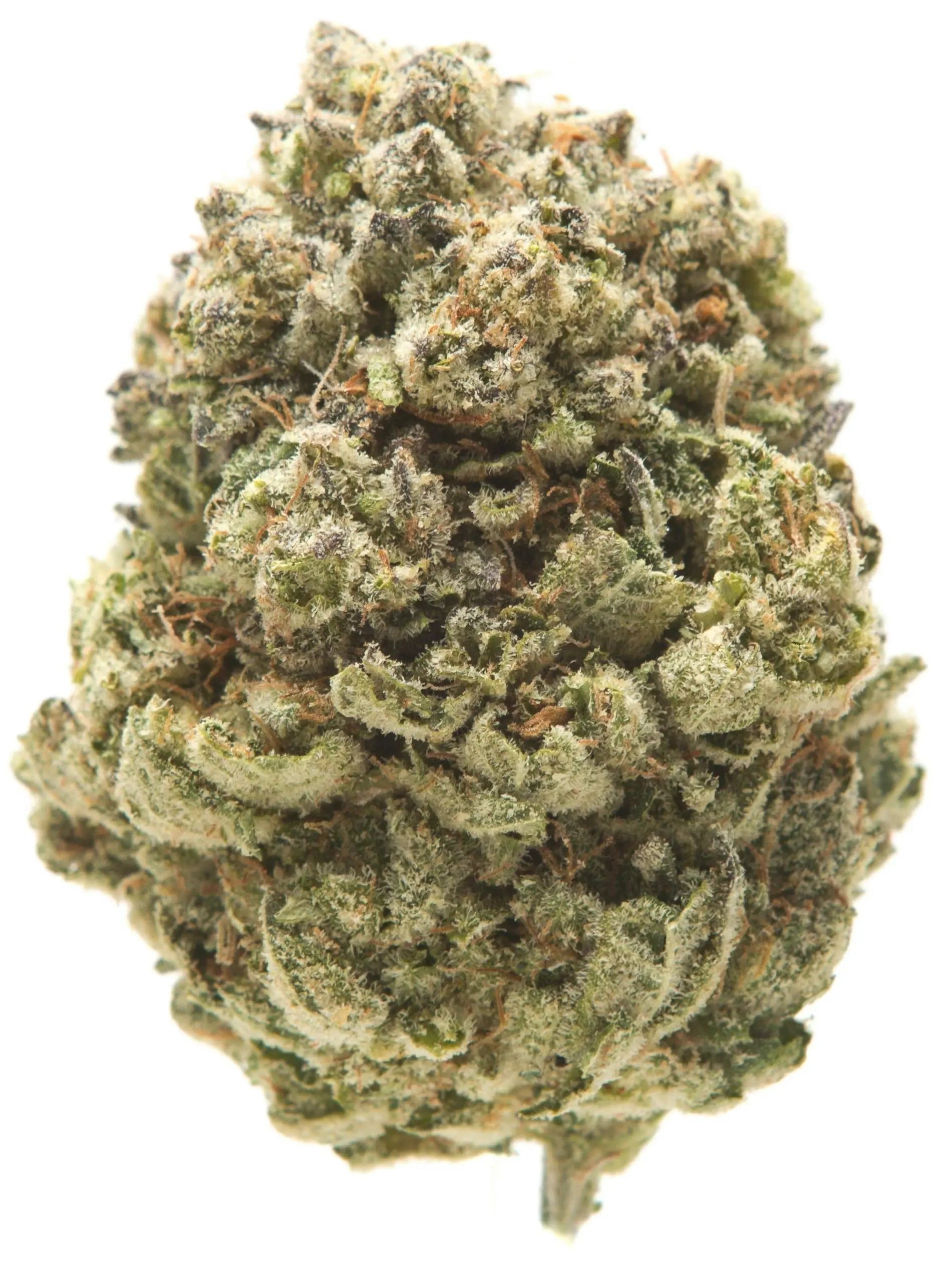 Premium Flower Gods Gift Flow State Siesta G Dispensary