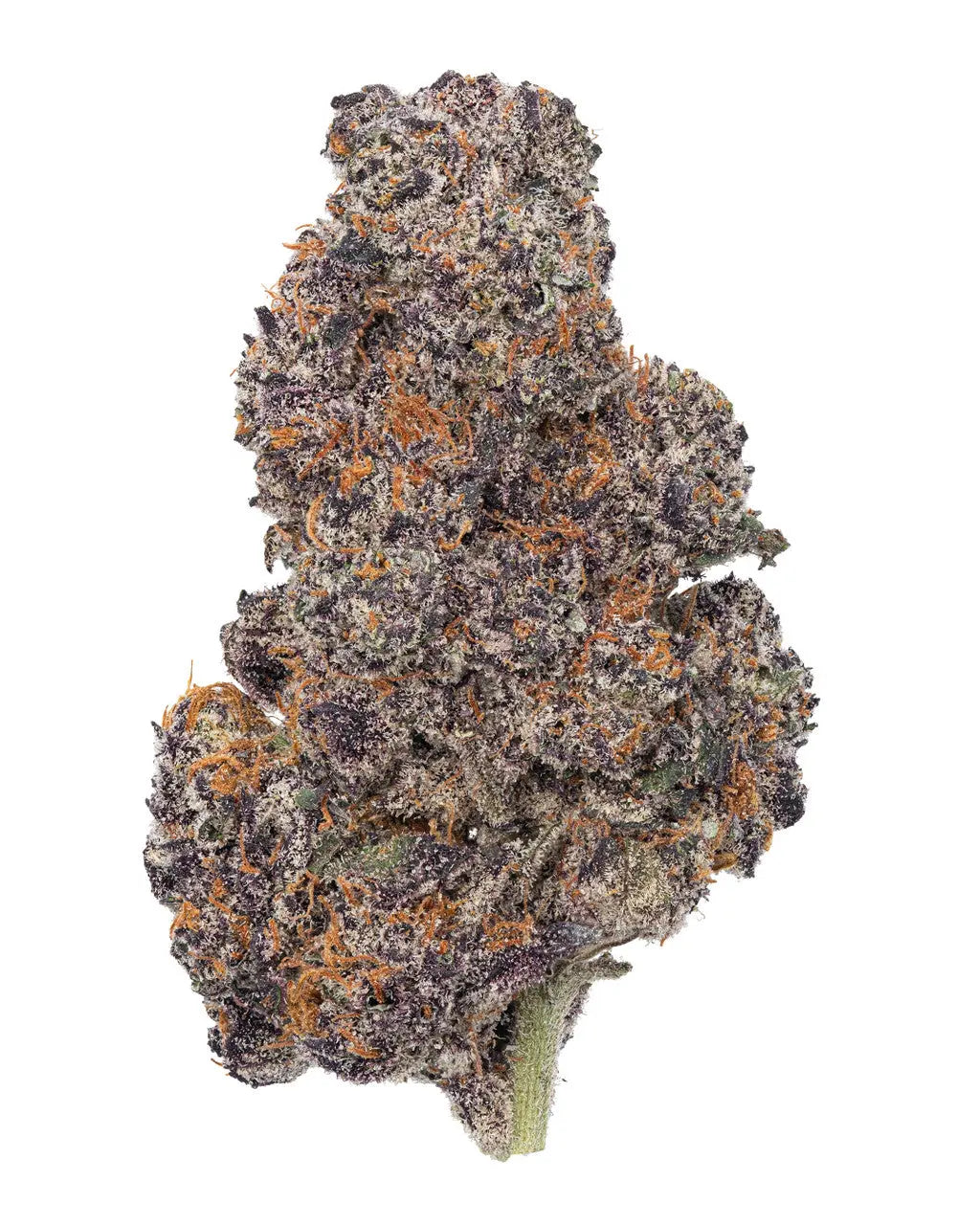 Premium Flower Gumbo Indica Paradise Hemp CO Siesta G Dispensary