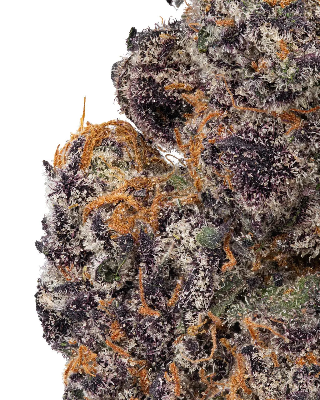 Premium Flower Gumbo Indica Paradise Hemp CO Siesta G Dispensary