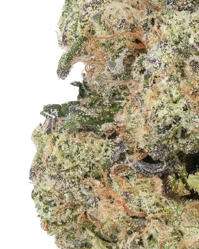 Premium Flower Hash Berger Indica Exotic Siesta G Dispensary Siesta G Dispensary