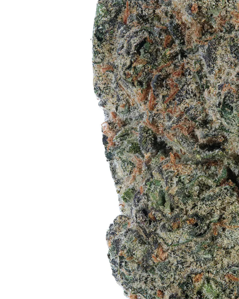 Premium Flower Ice Cream Cake (Exotic) (Indica) Siesta G Siesta-G