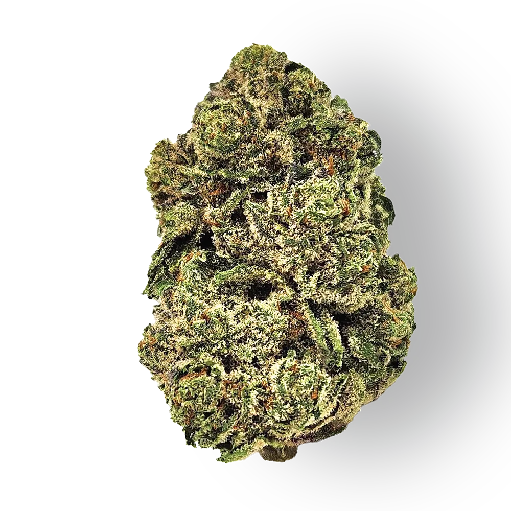 Premium Flower Jokerz Hybrid Siesta G Siesta G Dispensary