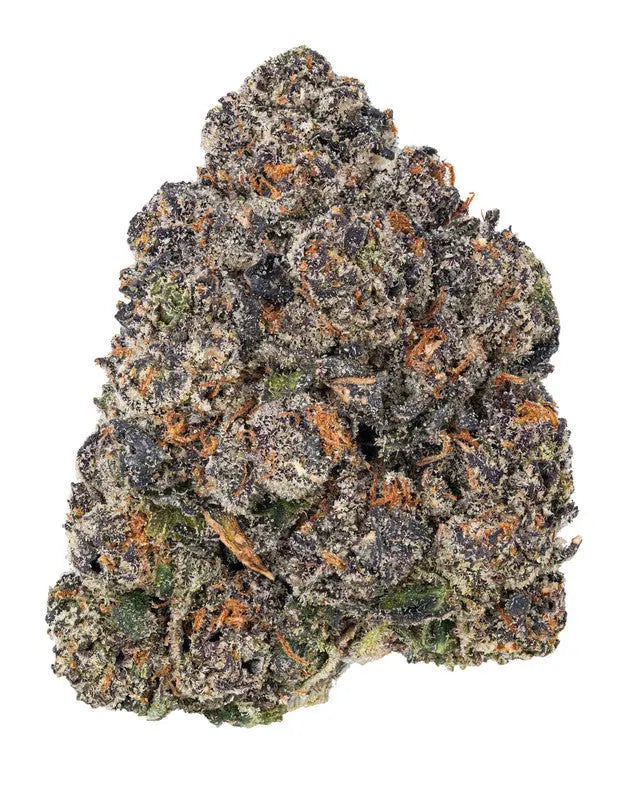 Premium Flower La Bomba Indica - Exotic KCMMM LLC Siesta G Dispensary