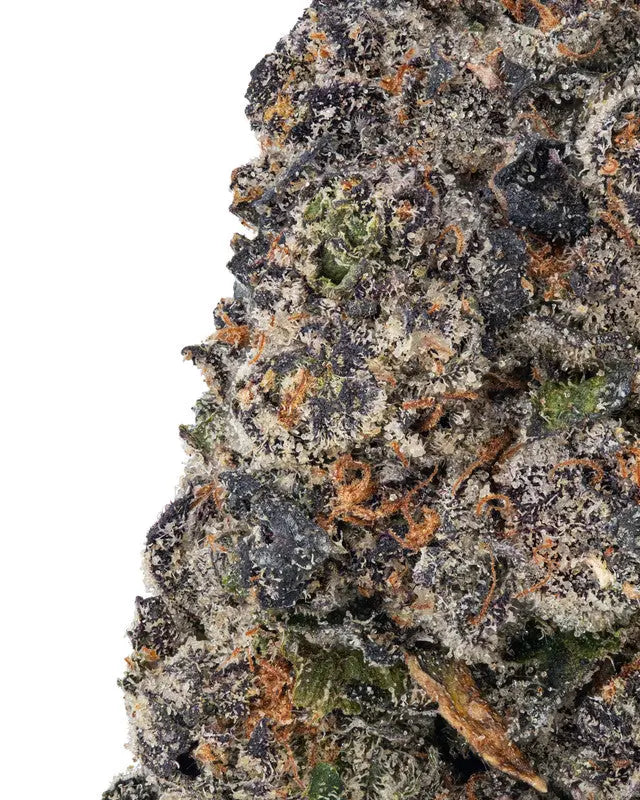 Premium Flower La Bomba Indica - Exotic KCMMM LLC Siesta G Dispensary