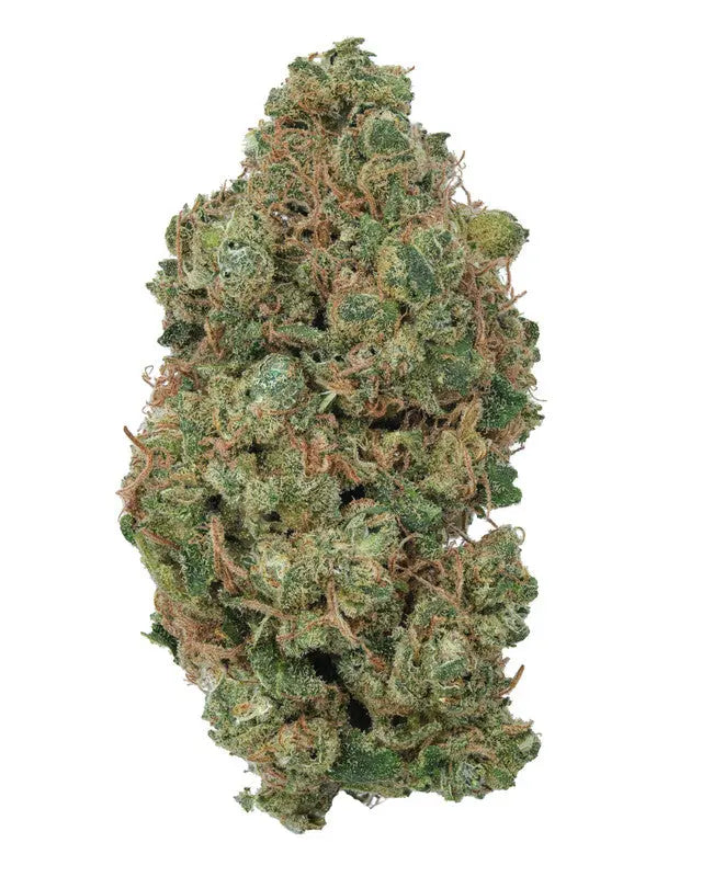 Lemon Apricot Siesta G Siesta G Dispensary