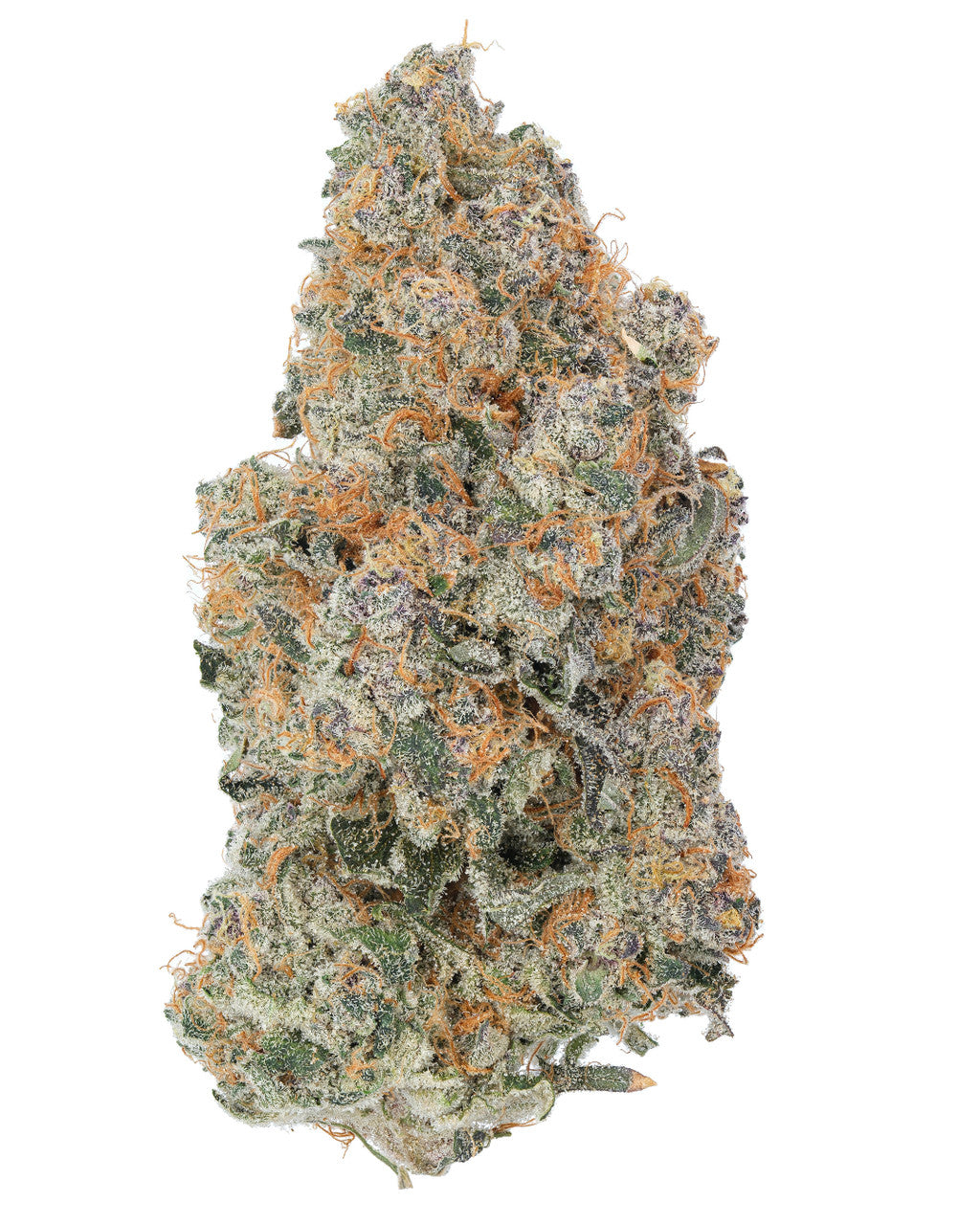 Premium Flower Lemon Tart Sativa Siesta G Dispensary Siesta G