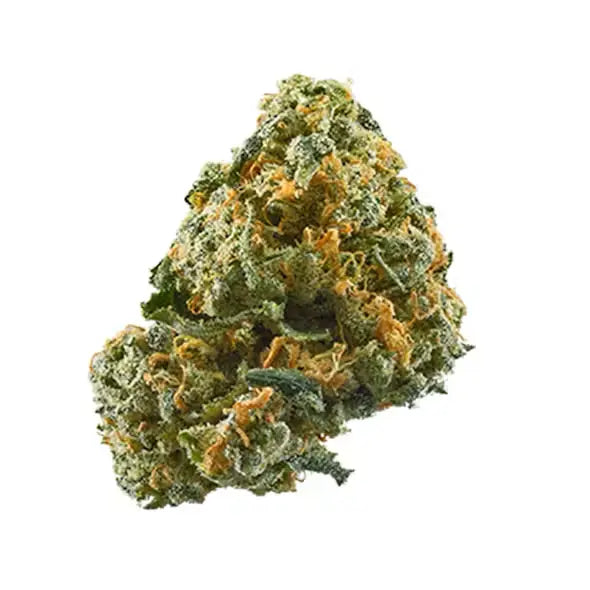 Premium Flower Magic Marker Hybrid Siesta G Siesta G Dispensary