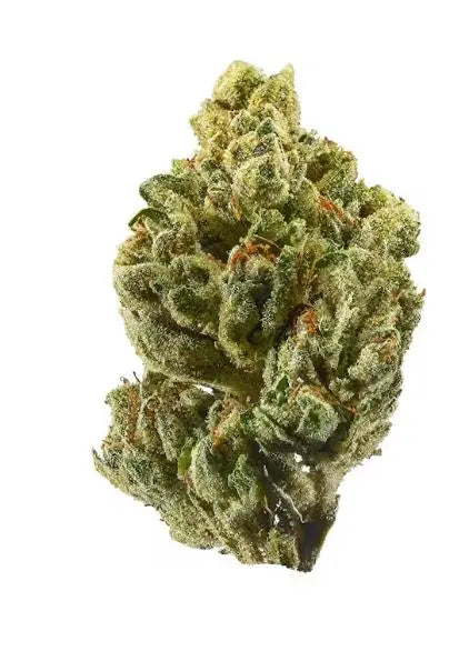 OG Kush Siesta G Siesta G Dispensary