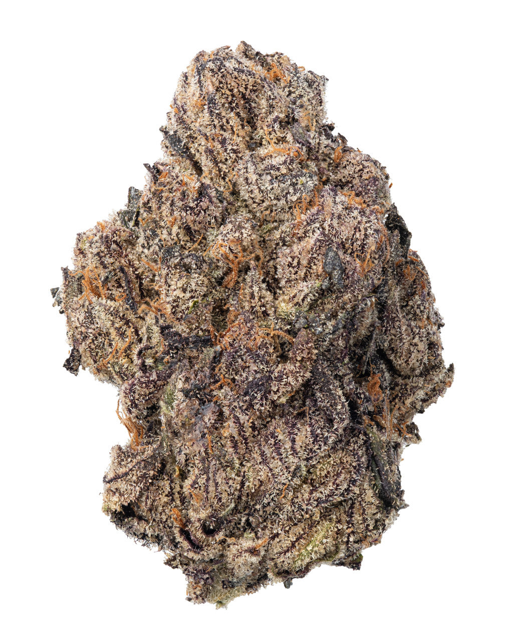 Premium Flower Oakland Runtz Siesta G Siesta G