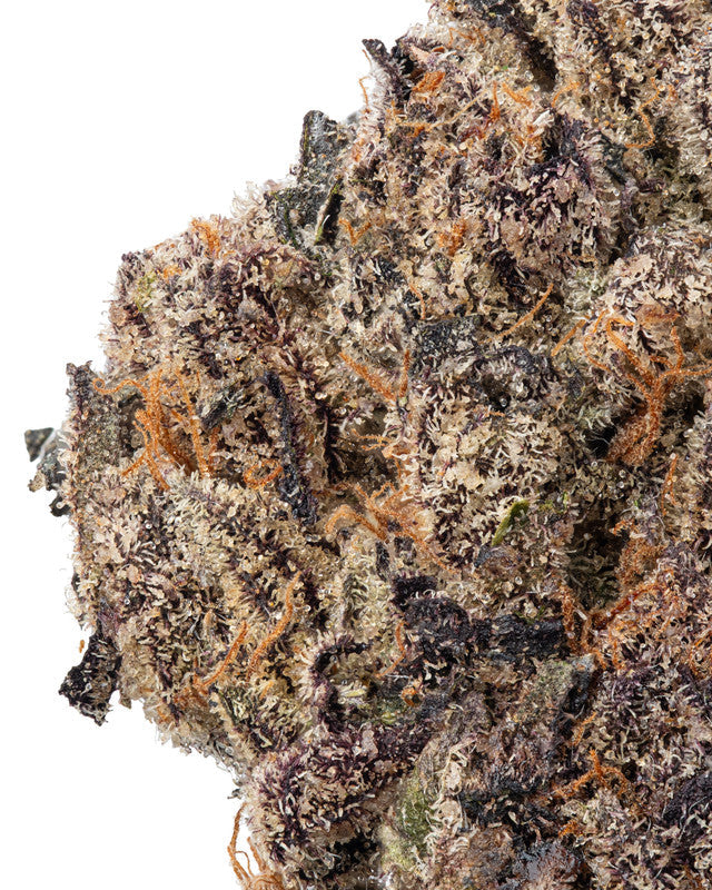 Premium Flower Oakland Runtz Siesta G Siesta G