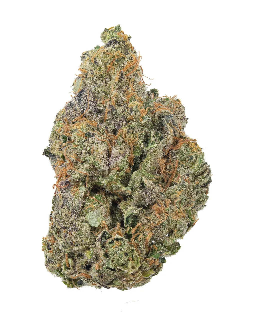 Papaya Cake x Purple Punch Siesta G Siesta G Dispensary