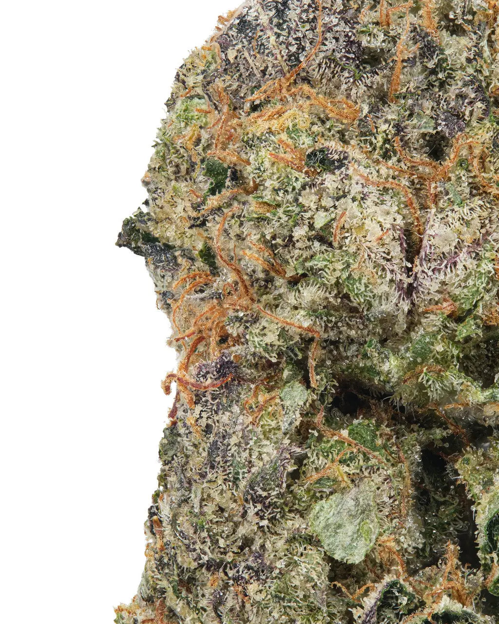 Papaya Cake x Purple Punch Siesta G Siesta G Dispensary