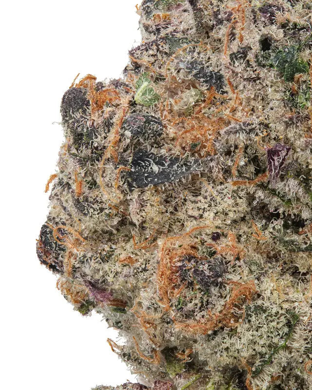 Premium Flower Peanut Butter Breath Hybrid Exotic Siesta G Siesta G Dispensary
